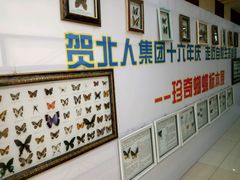 蝴蝶展-新百广场(中山西路店)