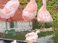 -侯臣咖啡文化村