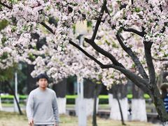 -四川大学(望江校区)