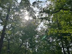 -白水寺森林公园