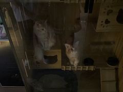 -剧狐剧本杀·月球探案馆(人民广场1号店)