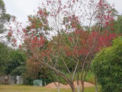 -火炉山森林公园