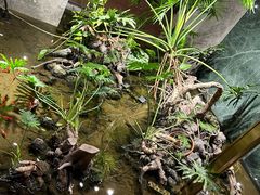 -宴周康·精致江浙菜(周浦店)