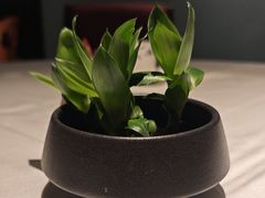 -炳胜品味(珠江新城店)