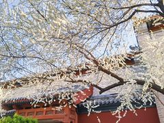 -雍和宫(地铁站)