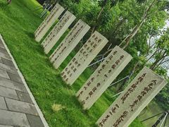 -金山公园