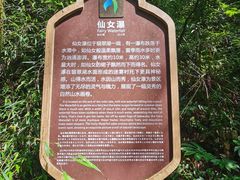 -龙苍沟森林公园