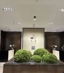 点击看大图 -广州文华东方酒店·水疗中心