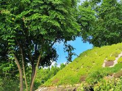 -深圳国际园林花卉博览园