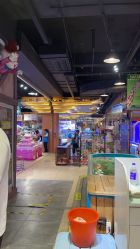 -卡通尼·Safari非洲探索乐园·生日会(金桥国际商业广场店)