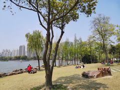 -南翔镇银翔湖公园
