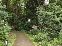 -象山森林公园