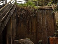 -广州市帽峰山景区