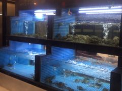 -岳州三毛·钻石卤虾(润泽园店)