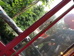-大鹅岛绿色生态美食园