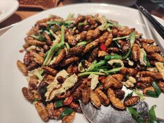-纪林菜馆·博山菜老字号(华光路店)