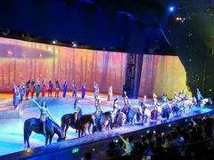 -cavalia·舞马