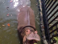 -海南热带野生动植物园