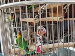 -怡得观滇餐厅·地道昆明菜·1996(海埂大坝店)