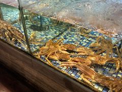 -上座·餐厅(阳光100店)