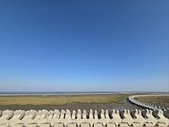 -南汇嘴观海公园