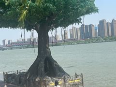 -咸阳湖景区