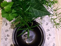 -扫雪煮茶(西村店)