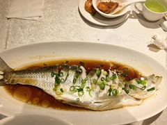 -金美华轩(东方路齐鲁店)