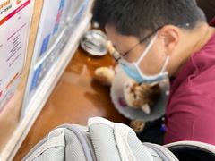 -美联众合动物医院·24h京西诊疗中心