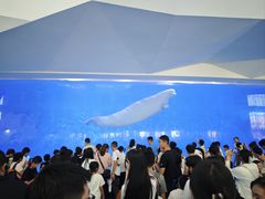 -泉城欧乐堡海洋极地世界