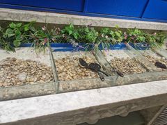 -火锅岛潮牌自助餐厅(天津天佑城店)