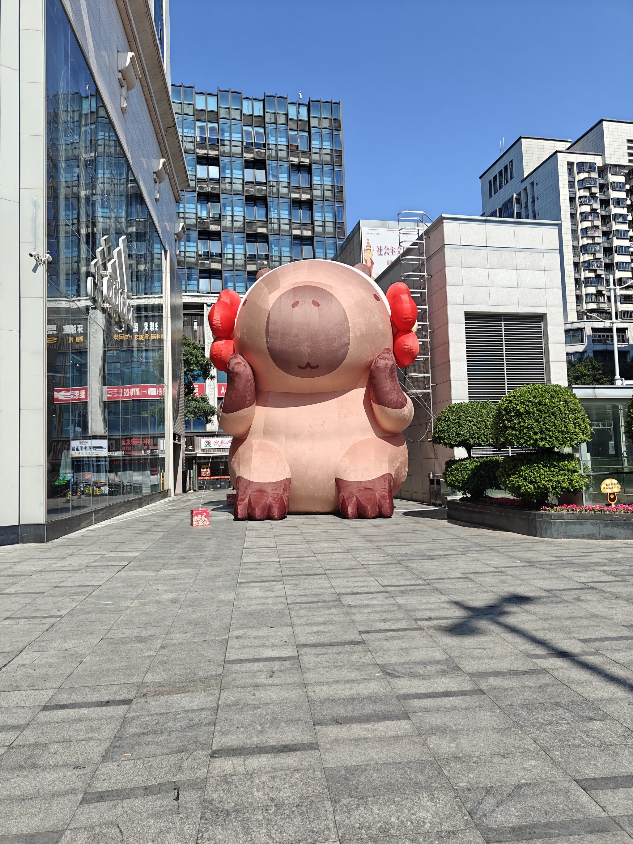 巨型绿雕塑超吸睛