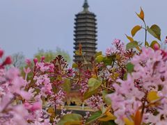 -西海子公园