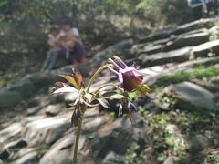 -阳台山自然风景区