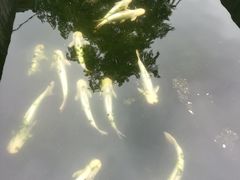 -特种渔场