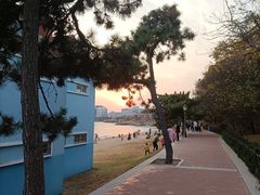 -青岛海滨风景区