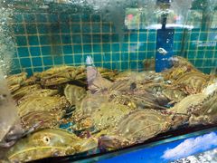-坛南湾农家乐·海鲜楼·大排档(平潭坛南湾店)