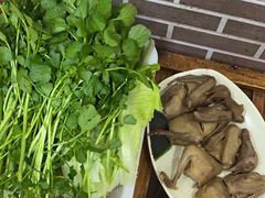 -麻奢鸽农庄·梦里水乡