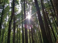 -山王坪喀斯特国家生态公园