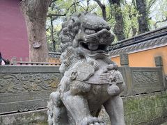 -普陀山风景名胜区-法雨禅寺