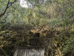 -黔灵山公园