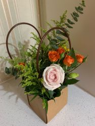 -满天星母婴月子中心(湖塘馆)