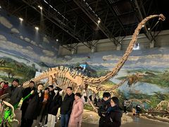 -自贡恐龙博物馆