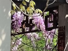 -郑和公园