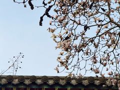 -碑林公园