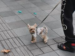 -安福路