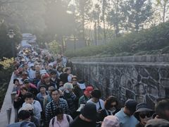 -猪脑壳凉面(武陵源店)