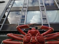 -蟹道乐(道顿堀本店)