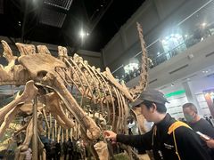 -自贡恐龙博物馆