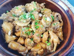 -洞背山庄(洞背院区式管理小区店)